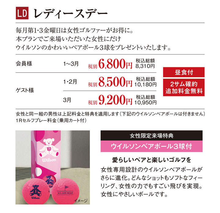 レディスプラン